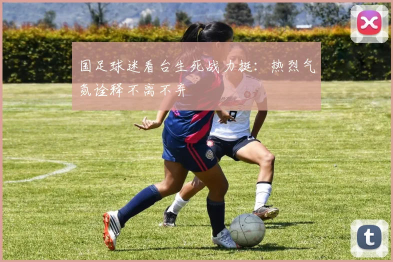 国足球迷看台生死战力挺：热烈气氛诠释不离不弃