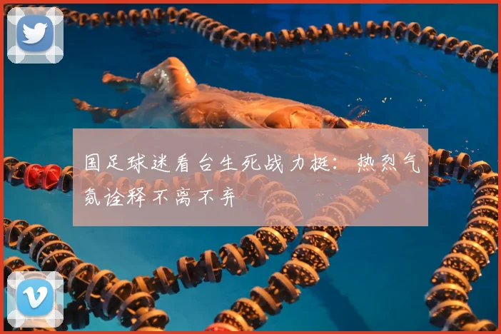 国足球迷看台生死战力挺：热烈气氛诠释不离不弃